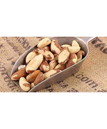 Farm Fresh 1 lb. Dry Roasted Brazil Nuts with Healthy Himalayan Salt - Vegan & Keto Friendly - Buy Online on GoSupps.com