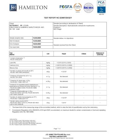  Ollywell Ollywell Chaga - Premium 100% EU - Vitamin B - Medicinal Mushroom - Double Extract 10:1 - 30 ml Tincture - Adaptogen - Go - Buy Online on GoSupps.com
