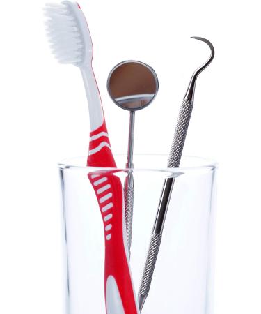 Dental Plaque Remover Tool - Stainless Steel Tartar Scraper for Teeth Cleaning - Dentist Approved Dental Scaler Pick - Buy Online on GoSupps.com