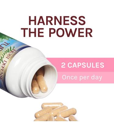 Fungi Perfecti Turkey Tail - 60 Vegetarian Capsules for Immune Support - Buy Online on GoSupps.com
