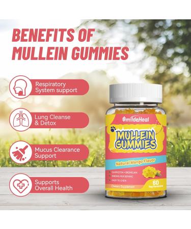 Mullein Gummies 3000MG Sugar Free Mullein Gummies with Bromelain & Quercetin Mullein Leaf Extract Supplements for Lungs Vegan 60 Count 60 Count (Pack of 1) - Buy Online on GoSupps.com