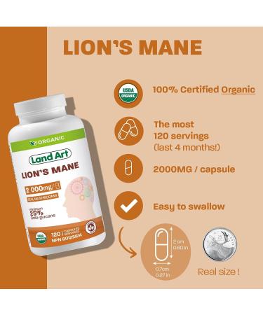 Certified Organic Lion's Mane - Cognition & Memory - 120 capsules - 2000mg- Fruiting Body - Multiple Extraction - Over 25% Beta-glucans - Made in Canada - Buy Online on GoSupps.com