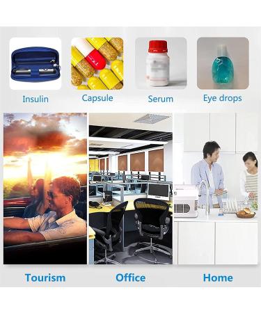 Portable Mini Car Refrigerator Insulin Cooler with LED Display - 2-8 Celsius Vaccine Refrigerator for Drugs and Insulin - Travel Fridge Freezer - Buy Online on GoSupps.com