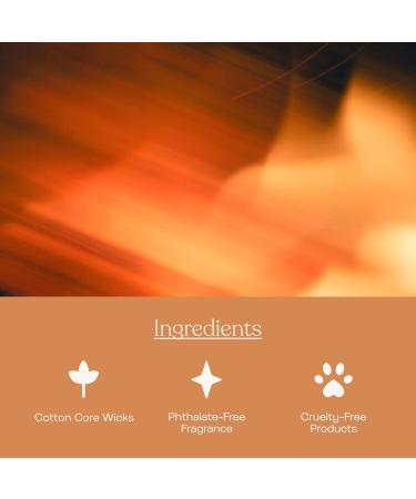 Anecdote Candles Hot Mess | Premium Rhubarb & Pink Pepper Coconut Soy Wax Candle | Hand Poured & Long Burning | Phthalate-Free | 7.8 Oz | Perfect Gift for Home & Office - Buy Online on GoSupps.com