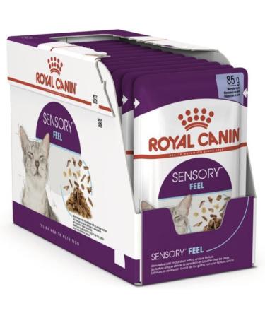 Royal Canin Sensory Feel In Jelly Wet Cat Food 12 x 85g Meat 12 count (Pack of 1) - Buy Online on GoSupps.com