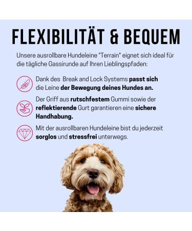 Buy High-Quality Cong Roll-Out Dog Leash 5m for Large Dogs up to 50kg | Soft Handle & Reflective Belt | Durable Lock System | Black - Buy Online on GoSupps.com