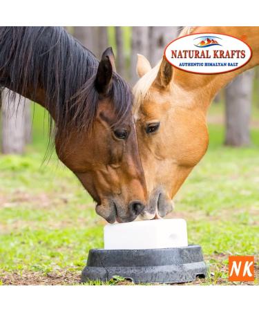 Natural Krafts Himalayan Salt Lick for Horses, Cattle, Sheep - 1-1.5 KG with Hanging Rope - Buy Online on GoSupps.com