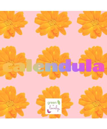 Green + Lovely Herbal Salve with Calendula + Comfrey - Organic Multi-Purpose Skin Cream Bruise Eczema Ointment - Beauty Intensive Moisturizer Sensitive Skin - (Unscented) - 1 oz - Buy Online on GoSupps.com