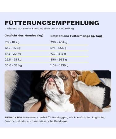 HEY HOLY Beautiful Bulldogs Adult Dog Food - Grain Free Natural Food Fresh Salmon High Quality Protein 750g x 6 Cans - Buy Online on GoSupps.com