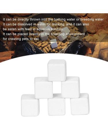 Calcium Supplement for Aquariums and Reptiles Suitable for Terrestrial Animals - Buy Online on GoSupps.com