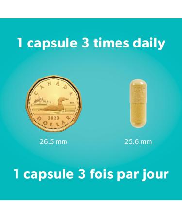 WomenSense VeinSense 90 vegetarian capsules Helps treat Varicose Veins and Chronic Venous Insufficiency - Buy Online on GoSupps.com