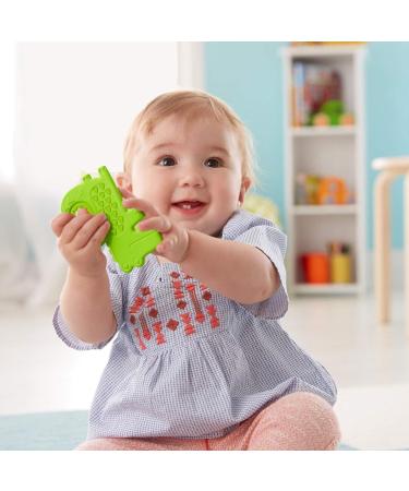 Fisher-Price Alligator Teether - Soothing and Safe Baby Teething Toy - Buy Online on GoSupps.com