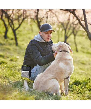 Buy Aocclant Dog Training Treat Bag - Versatile Hip Belt 3 Carrying Options Easy Wear for Toys & Treats - Black - Buy Online on GoSupps.com
