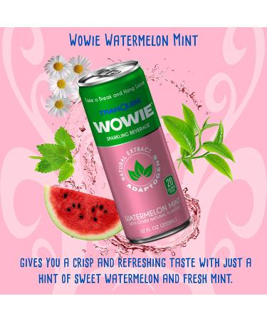 Wowie Hemp Infused Calming Sparkling Beverage Variety Pack 12 oz - Herbal Adaptogens, All Natural, Low Calorie, Non Alcoholic - Pack of 12 - Buy Online on GoSupps.com