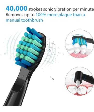 Dnsly Electric Toothbrush for Adults - 5 Modes Sonic Cleaning, Rechargeable with 2-Min Timer, 8 Brush Heads, Travel Case - Black - Buy Online on GoSupps.com