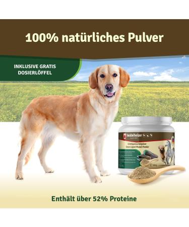 Veddelholzer Natural Green Lip Powder for Dogs - 500g High-Quality Green Lip Mussel Supplement - Buy Online on GoSupps.com