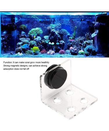 Buy Cikonielf Magnetic Coral Frag Rack - 4 Hole Transparent Acrylic Aquarium Coral Holder for International Shipping - Buy Online on GoSupps.com