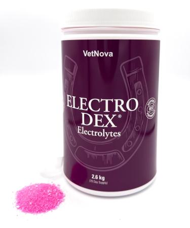 Electro Dex 2.6 kg - Buy Online on GoSupps.com
