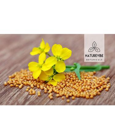 Naturevibe Botanicals Organic Yellow Mustard Seed Powder 1lb - 100% Pure & Natural Flavor Enhancer - Buy Online on GoSupps.com