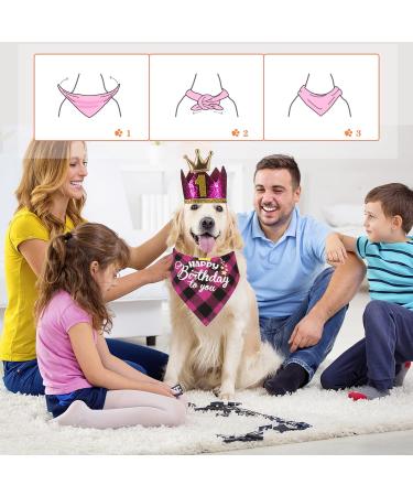 Crown Dog Birthday Hat Set - 4 Cute Reusable Hats & Bandana for Small to Medium Dogs Cats & Puppies - Pink with Gold Numbers - Buy Online on GoSupps.com