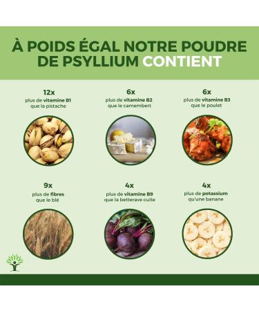 Psyllium Blond Bio - Bioptimal - Teguments de Psyllium - Husk Raw - Cosse non moulue - Riche en Fibre - Digestion Transit Coupe Faim - Origine Inde - Conditionn en France - Certifi Ecocert - 500g 500 g (Lot de 1) - Buy Online on GoSupps.com