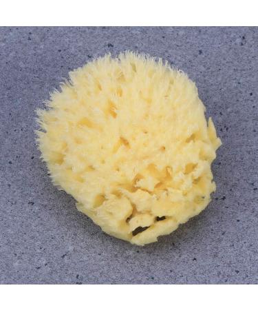 Angoily Natural Sea Sponges Soft Bath Sponges Body Puff Scrubber Used in Bath Shower Cleansing Exfoliating - Buy Online on GoSupps.com