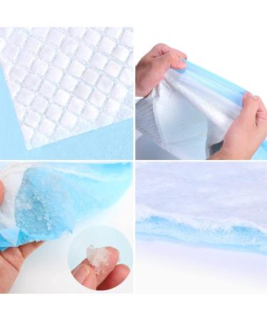 Puppy Pee Pads 6-Layer Design | Leak-Proof Disposable Pet Training Pad | Small Size 13'' x 17'' (20-Count) | For Dogs, Cats, and Rabbits - Buy Online on GoSupps.com
