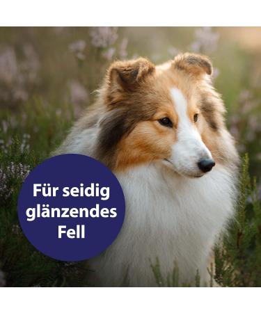 Canosept Fur Care Spray for Dogs 250ml - De-Filzing & Mite Solution for Easy-to-Comb Shiny Fur - Buy Online on GoSupps.com