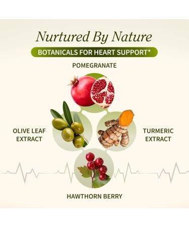 Snap Supplements Heart Health Support Supplement - Botanical Support for Heart Health Healthy Circulation and Nitric Oxide Levels 90 Capsules (30 Servings 1 Month Supply) 90 Count (Pack of 1) - Buy Online on GoSupps.com