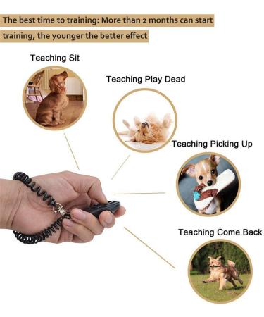 Txibi 2Pack Pet Dog Training Clicker with Wrist Strap - Durable Lightweight Easy to Use Pet Clickers for Cats Puppy Birds Horses (Blue + White) - Buy Online on GoSupps.com