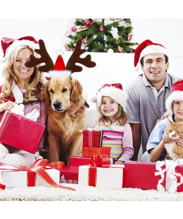 Shop Pet Christmas Headbands | Reindeer Cat & Dog Headbands - Perfect Holiday Gift for Pets! - Buy Online on GoSupps.com