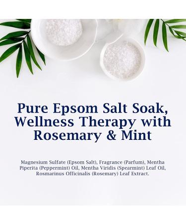 Dr Teal's Epsom Salt Soak Wellness Therapy with Rosemary & Mint 3 lbs - Pack of 4 - Buy Online on GoSupps.com