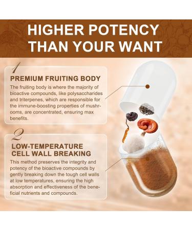 NATURE TARGET Mushroom Supplement, Mushroom Complex with Lion's Mane, Turkey Tail, Reishi, Cordyceps, Shiitake, 14-in-1 Mushrooms for Memory and Focus, 120 Capsules 120 Count (Pack of 1) - Buy Online on GoSupps.com