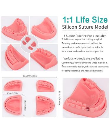 LVCHEN Dental Oral Practice Kit - 25 Pcs Set for Dentist & Student Training - Buy Online on GoSupps.com