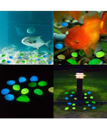 Halcyerdu 200 Pcs Fluorescent Pebble Stones - Bright Green Night Light Stones for Aquarium & Garden Decoration - Buy Online on GoSupps.com