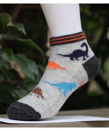 CHUNG Boys Cotton Ankle Socks 5-Pack Dinosaur Mesh - Size 4-6 Years - Buy Online on GoSupps.com