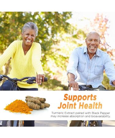 Turmeric Ginger Cinnamon Gummies - Vegan Supplement with 95% Curcuminoids for Natural Joint Support - 60 Gummies - Buy Online on GoSupps.com
