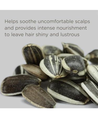 Hairitage Down to the Basics Fragrance-Free Conditioner - Chamomile & Sunflower Seed Oil - Ultra-Mild & Moisture Rich for Sensitive Scalps - 13 oz - Buy Online on GoSupps.com