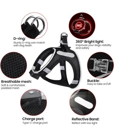 Shop PCEOTLLAR USB Rechargeable LED Dog Harness - Reflective Light for Small Medium Dogs Lightweight & Flashing - Black & Red - Buy Online on GoSupps.com