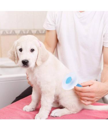 Cat Grooming Brush - Shedding & Massage Tool for Short & Long Haired Cats - Removes Mats, Tangles & Loose Fur - Blue - Buy Online on GoSupps.com