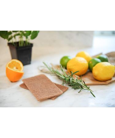 Full Circle Neat Nut Walnut Shell Scouring Pads - Non-Scratch, 3-Pack, Eco-Friendly Cleaning Pads - Buy Online on GoSupps.com