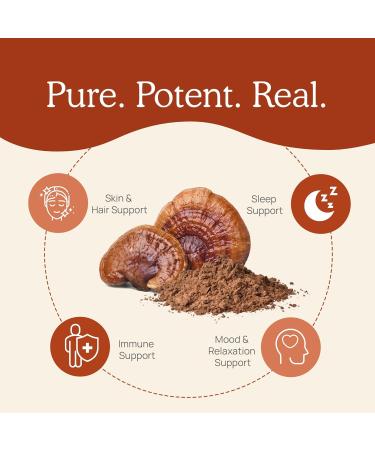 Real Mushrooms Reishi Mushroom Powder - Handpicked Organic Mushroom Extracts - Red Reishi for Tranquil Daily Wellness with Verified Beta Glucans Vegan Non-GMO No Grain Fillers 100 Servings - Buy Online on GoSupps.com