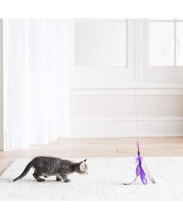 Jackson Galaxy Air Wand with Feather Toy - Available in Various Colors - Buy Online on GoSupps.com