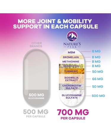 Glucosamine Chondroitin & MSM 2100mg - 3x Strength Joint Support Supplement for Mobility & Comfort - Glucosamine Complex with Turmeric Boswellia Bromelain & Quercetin - Bottled in USA - 60 Capsules 60 Count (Pack of 1) - Buy Online on GoSupps.com