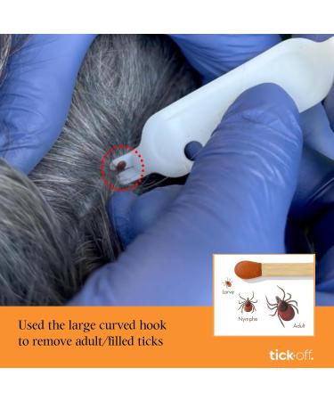 tick-off Patented Tick Tweezers Human Double-Sided Tick Tweezers for Dogs Cats Horses Tick Remover with 2 Tick Hooks and Ergonomic Handle Clinically Tested Single Pack White - Buy Online on GoSupps.com