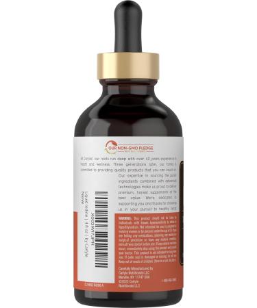 Carlyle Liquid Iodine Drops 4 fl oz | 150 mcg | Iodine & Potassium Iodide Supplement | Vegetarian Liquid Tincture | Non-GMO Gluten Free - Buy Online on GoSupps.com