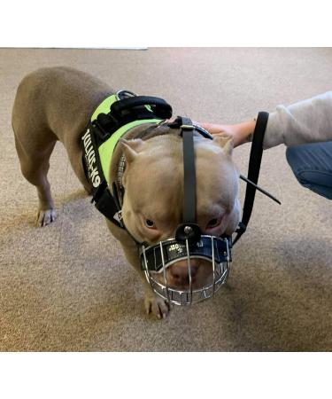 Metal Wire Basket Dog Muzzle for American Bully - B3 Black Leather/Silver - Buy Online on GoSupps.com