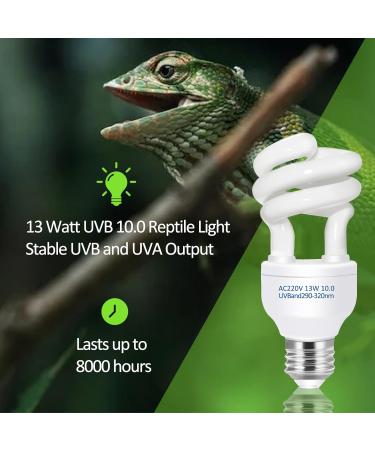 Caldarax 10.0 UVA UVB Bulb - 13W Compact Light for Desert Reptiles | E27 Tortoise Reptile Light for Lizard, Turtle, Snake, Chameleon, Bearded Dragon - Buy Online on GoSupps.com