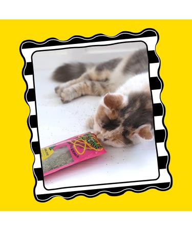 FAT CAT Organic Catnip - USA Grown & Harvested - Hoots Zoom Around the Room Catnip - Buy Online on GoSupps.com