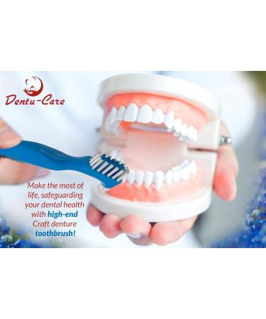 NaturDent Strong Denture Adhesive Bundle with Dentu-Care Storage Box and Brush - Zinc and Paraben-Free, Long-Lasting Hold - Buy Online on GoSupps.com